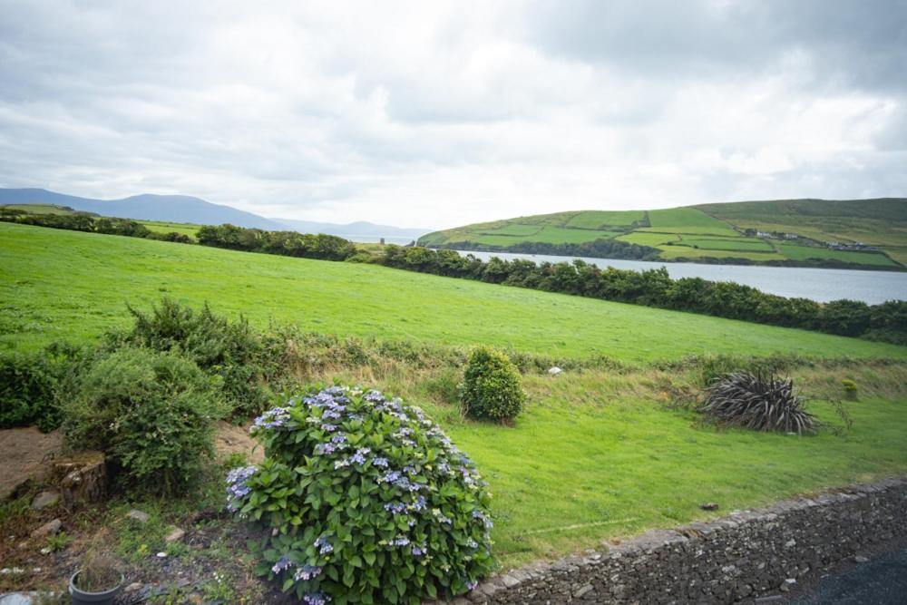 Half Door House Hotel Dingle Exterior foto