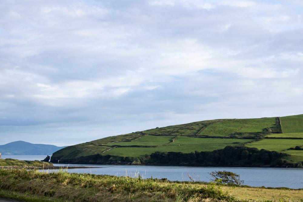 Half Door House Hotel Dingle Exterior foto